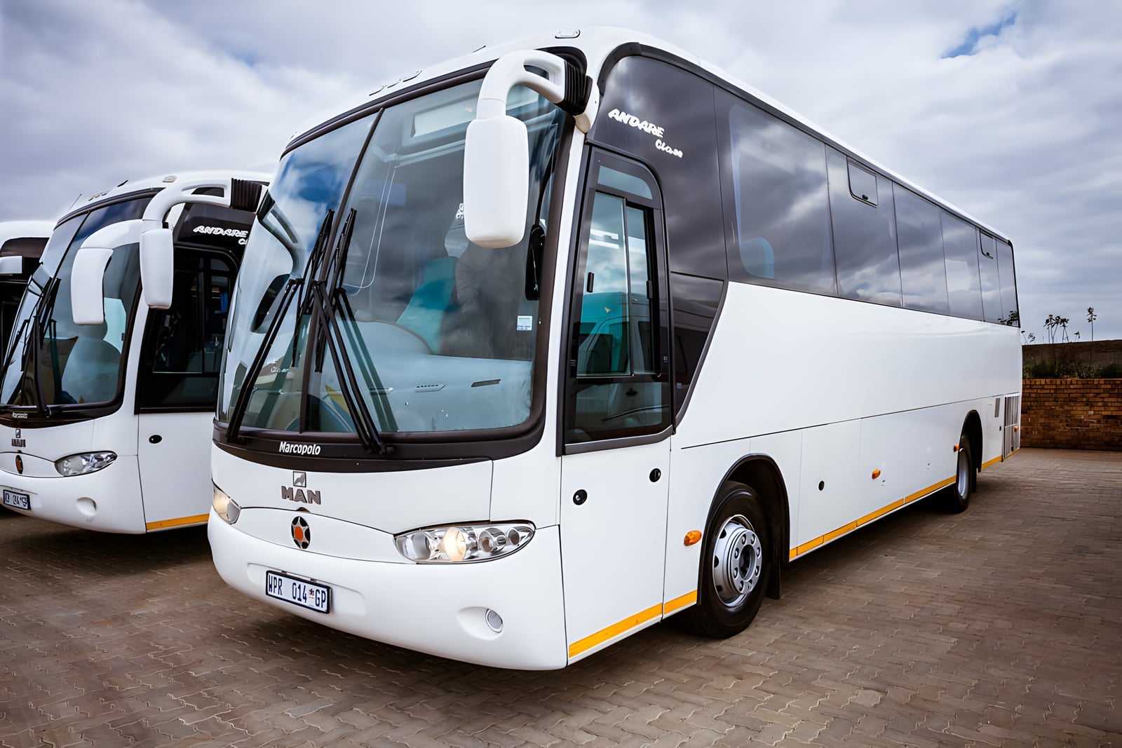 Bush to Bay luxury coaches lined up and ready for departure